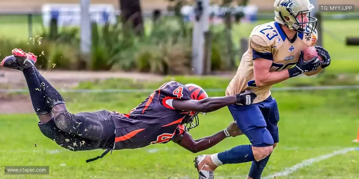 🏀全明星阵容，震撼来袭！篮球联赛官网，每一场都是视觉盛宴！🎯💥